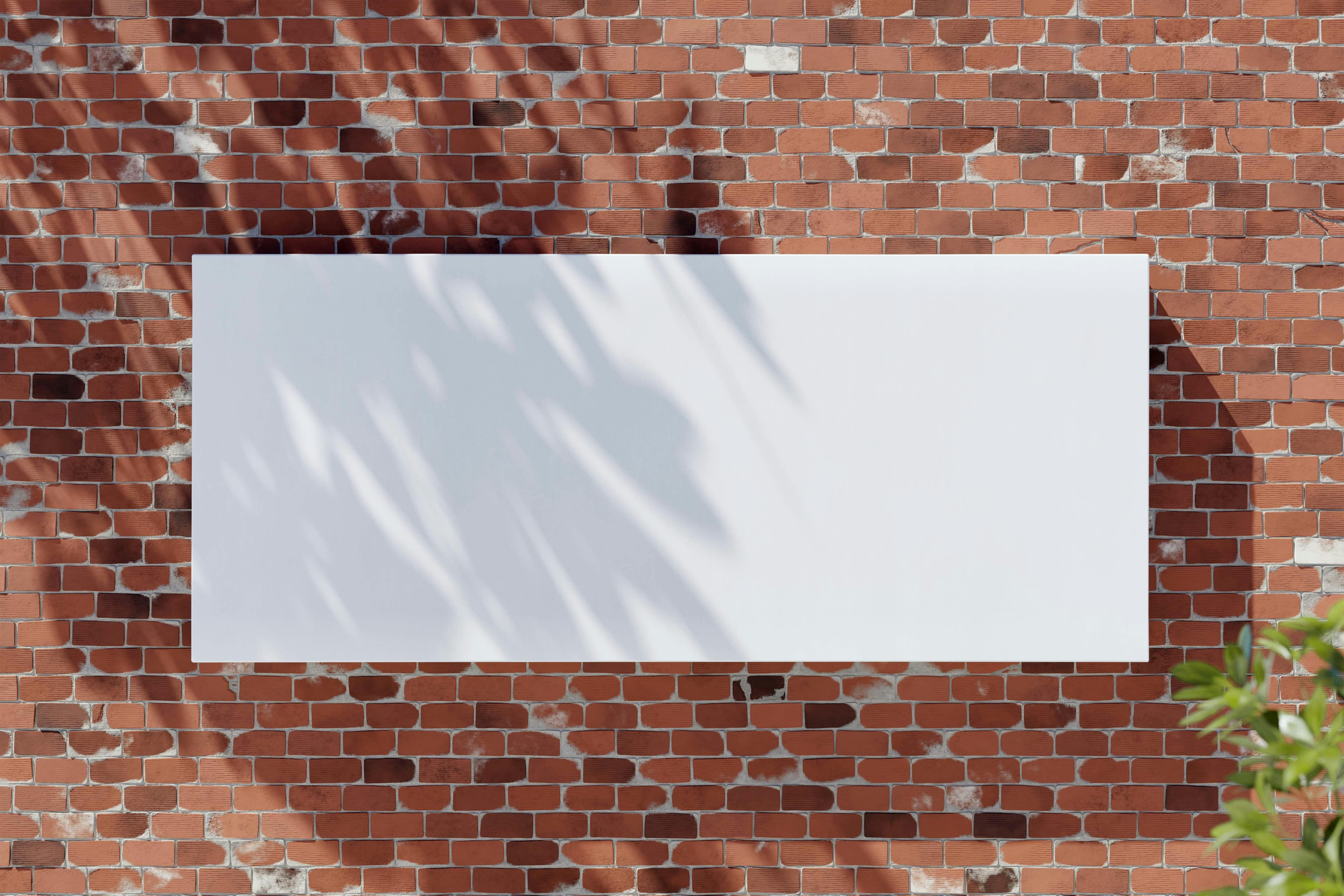 Banner Designing